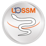 Union Of Medical Care And Relief Organizations UOSSM